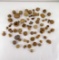 Sandstone Concretions