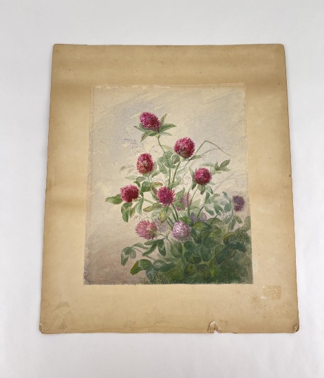 Emily Maria Spaford Scott Thistle Watercolor