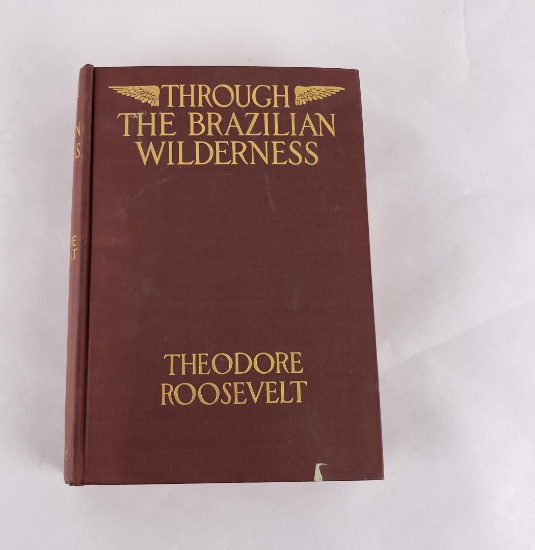 Through the Brazilian Wilderness