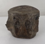 South Carolina Fossil Whale Vertebrae