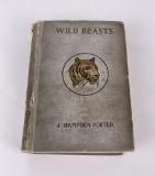 Wild Beasts