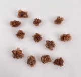 Aragonite Flower Clusters