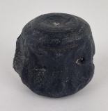 South Carolina Fossil Whale Vertebrae