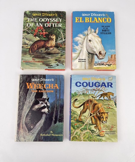 Collection of Walt Disney Books