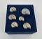 Collection of Fossil Ammonites