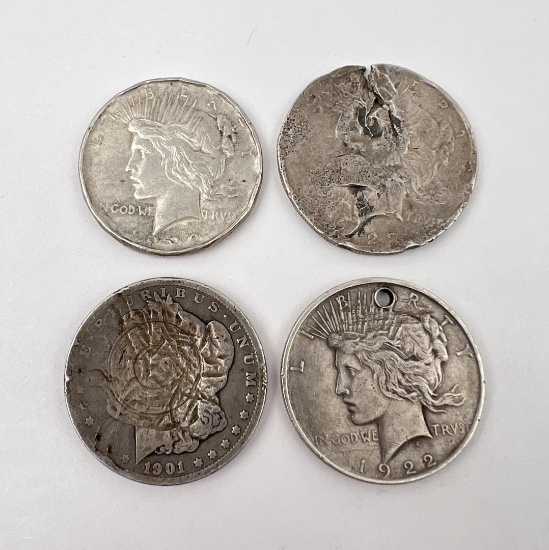 Group Of Morgan & Peace Silver Dollar Coins