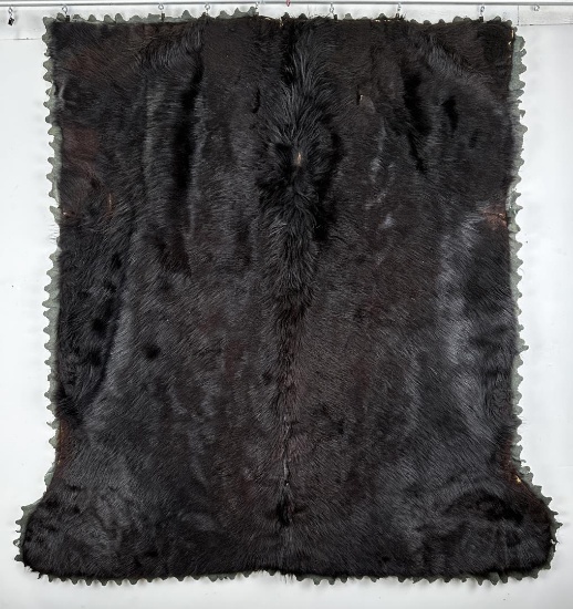 Antique Bear Skin Lap Sleigh Robe