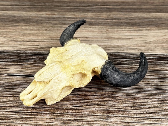 Bob Scriver Buffalo Skull Plaster Model