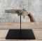 Smith & Wesson Model Number 1 Revolver .22