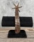 Antique Mexican Charro Spur