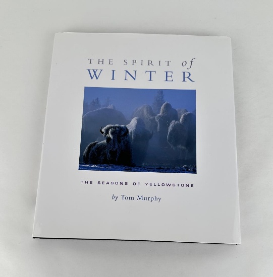 The Spirit Of Winter
