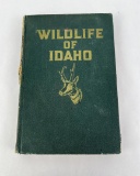 Wildlife Of Idaho