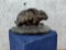 Antoine-Louis Barye Rabbit Bronze