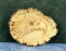 Carved Elk Horn Rosette Belt Buckle