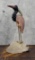 Carved Semi Precious Stone Stork