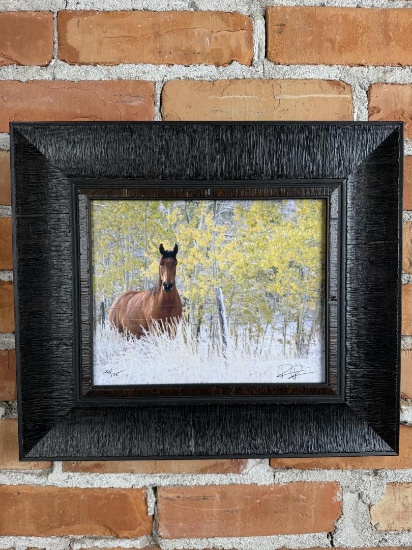 Rick Pieros Horse Photo Park City Utah