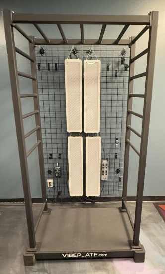 Vibe Plate VibeStretch Workout Machine
