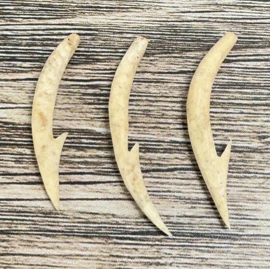 Ancient Thule Inuit Alaskan Fish Hooks