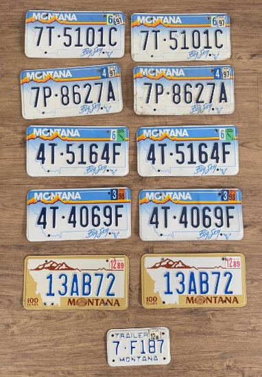 Collection of Montana License Plates