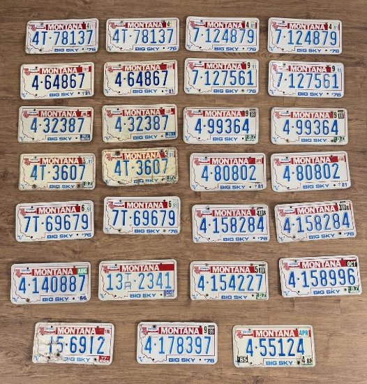 Collection of 1976 Montana License Plates