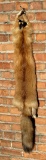 Montana Taxidermy Tanned Red Fox Hide
