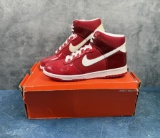 Nike Dunk High Premium Euro Champs Pack NIB