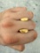 Montana Bull Elk Teeth