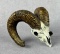 Fred Boyer Big Horn Sheep Bronze