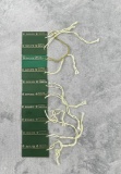 Rolex Guarantee Warranty Hang Tags Swimpruf
