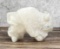 Vince Chavez Zuni White Medicine Buffalo Fetish