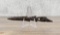 Ancient Thule Inuit Alaskan Eskimo Harpoon Point