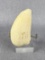 Alaskan Eskimo Whale Tooth Montana Residents Only
