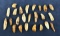 Fossilized Inuit Eskimo Walrus Teeth