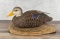 Lauriston Browne Black Duck Hen Decoy