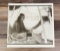L.A. Huffman Chief Two Moons Photogravure