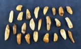 Fossilized Inuit Eskimo Walrus Teeth