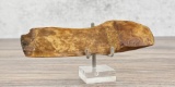 Ancient Thule Inuit Alaskan Eskimo Scraper