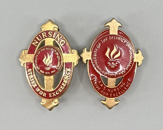 University District of Columbia Nursing Pins