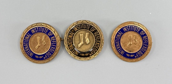 International Institute of Reflexology Pins