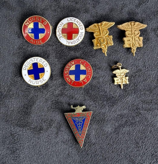 Collection of Nursing Award Title Pins