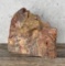 Arizona Rainbow Petrified Wood Lapidary Material