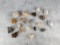 Collection of Seashells