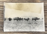 Edward Boos Flathead Indian Montana Photo