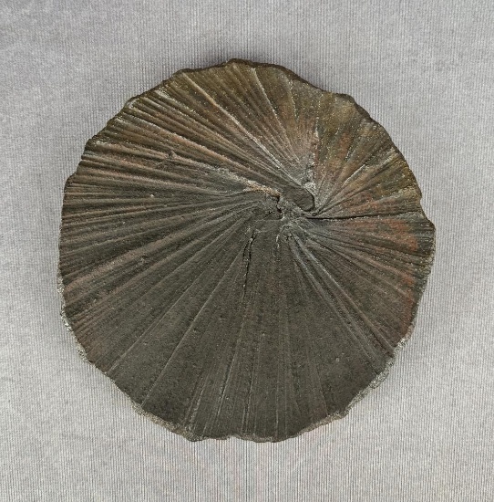 Lars Voltz Studio Pottery Plate