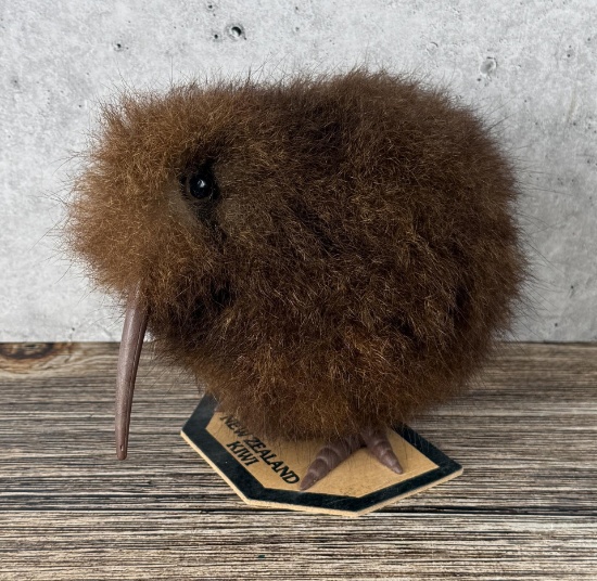 Alexander Gregory New Zealand Kiwi Bird
