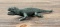 Cast Iron Alligator Paperweight