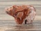 Picture Jasper Bear Fetish