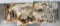 Collection of Assorted Fur Pelts for Crafts