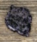 Charoite Carved Leaf