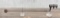 RIA Springfield Type III Fencing Bayonet
